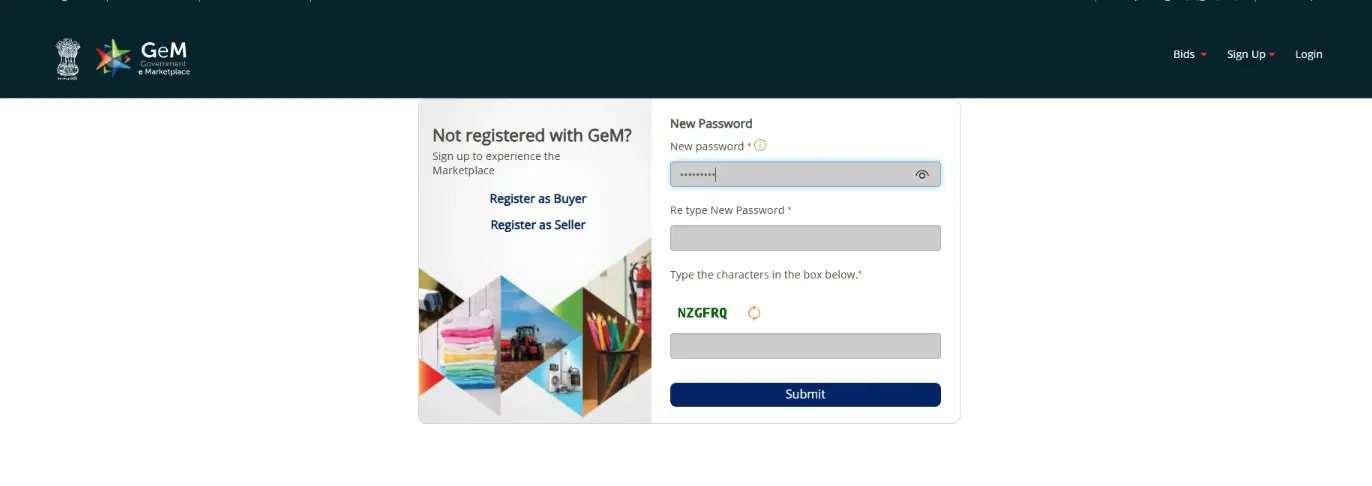 password reset page